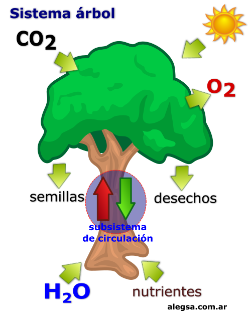Sistema árbol
