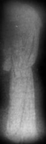 fantasma