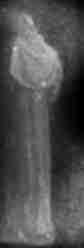 fantasma