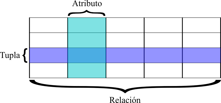 Base de datos relacional: relación, tuplas, atributos representadas como tabla, fila y columna respectivamente