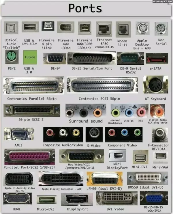 Guía de 30 ejemplos de conexiones hembra/macho de una computadora