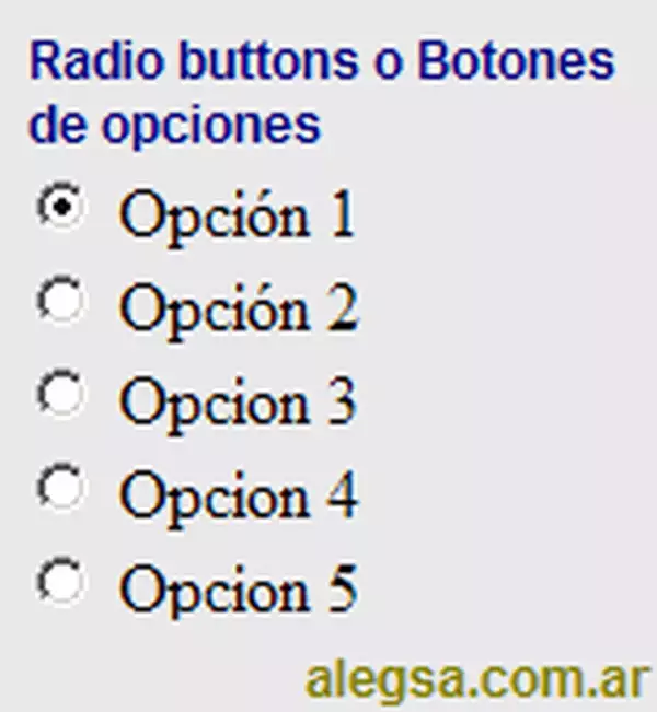 Definición de Botón de opción