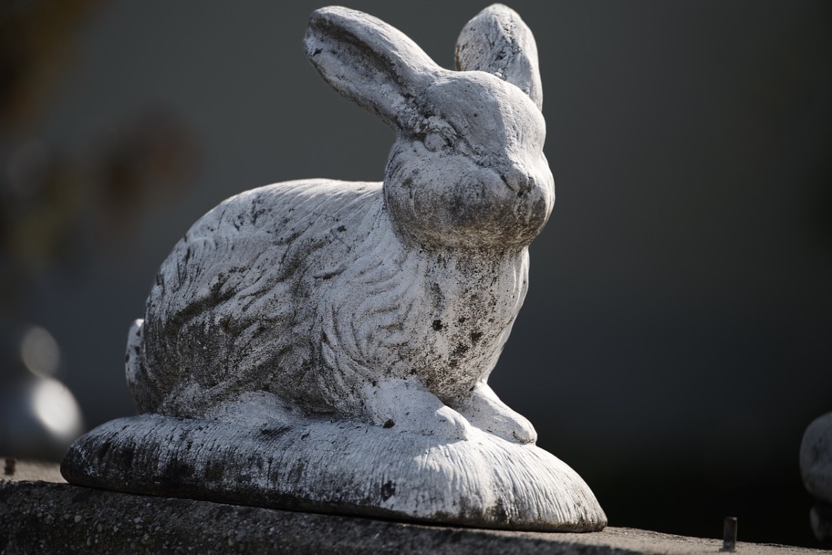 Horoscopo Chino: Características de Conejo