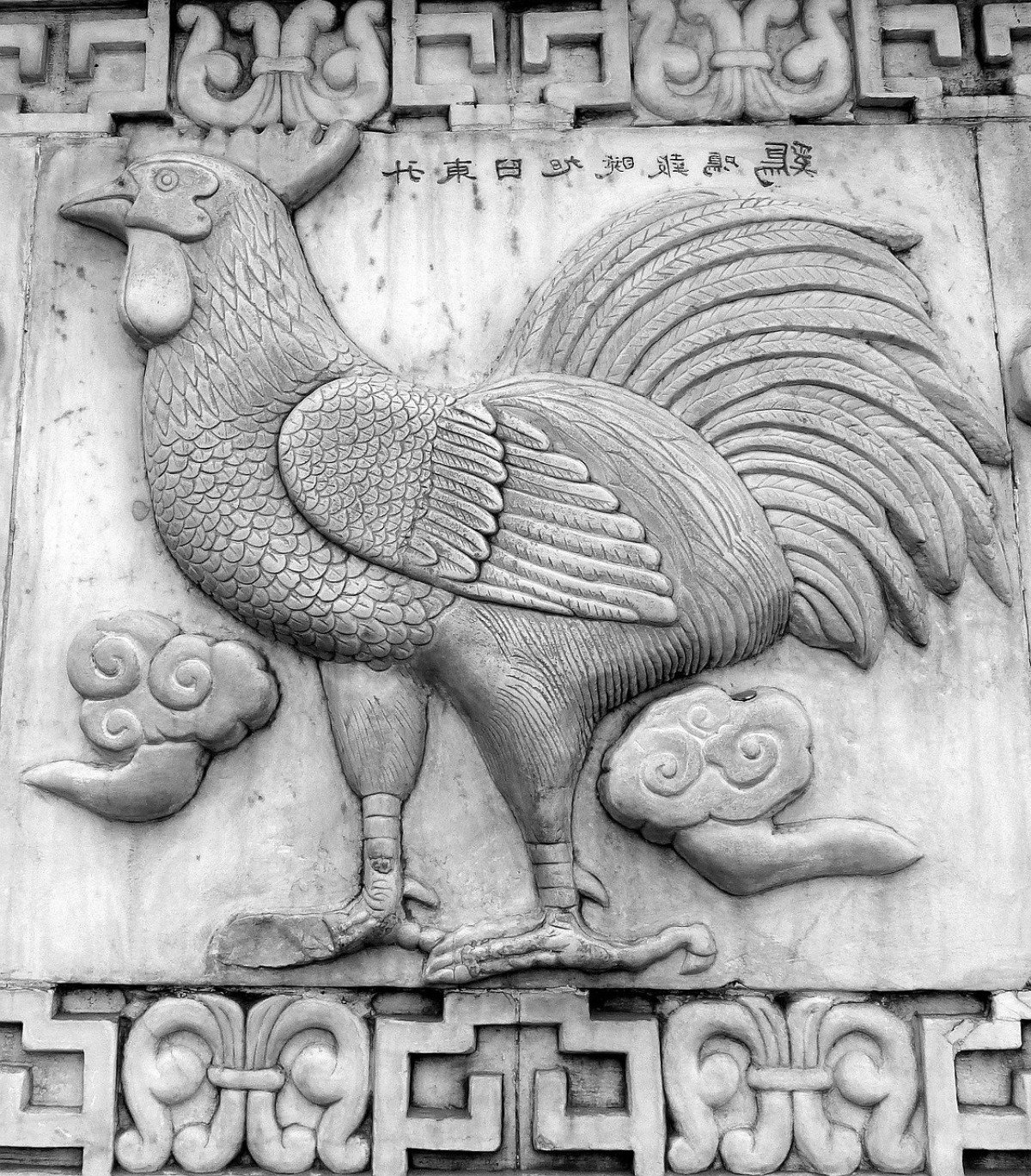 Horoscopo Chino: Características de Gallo