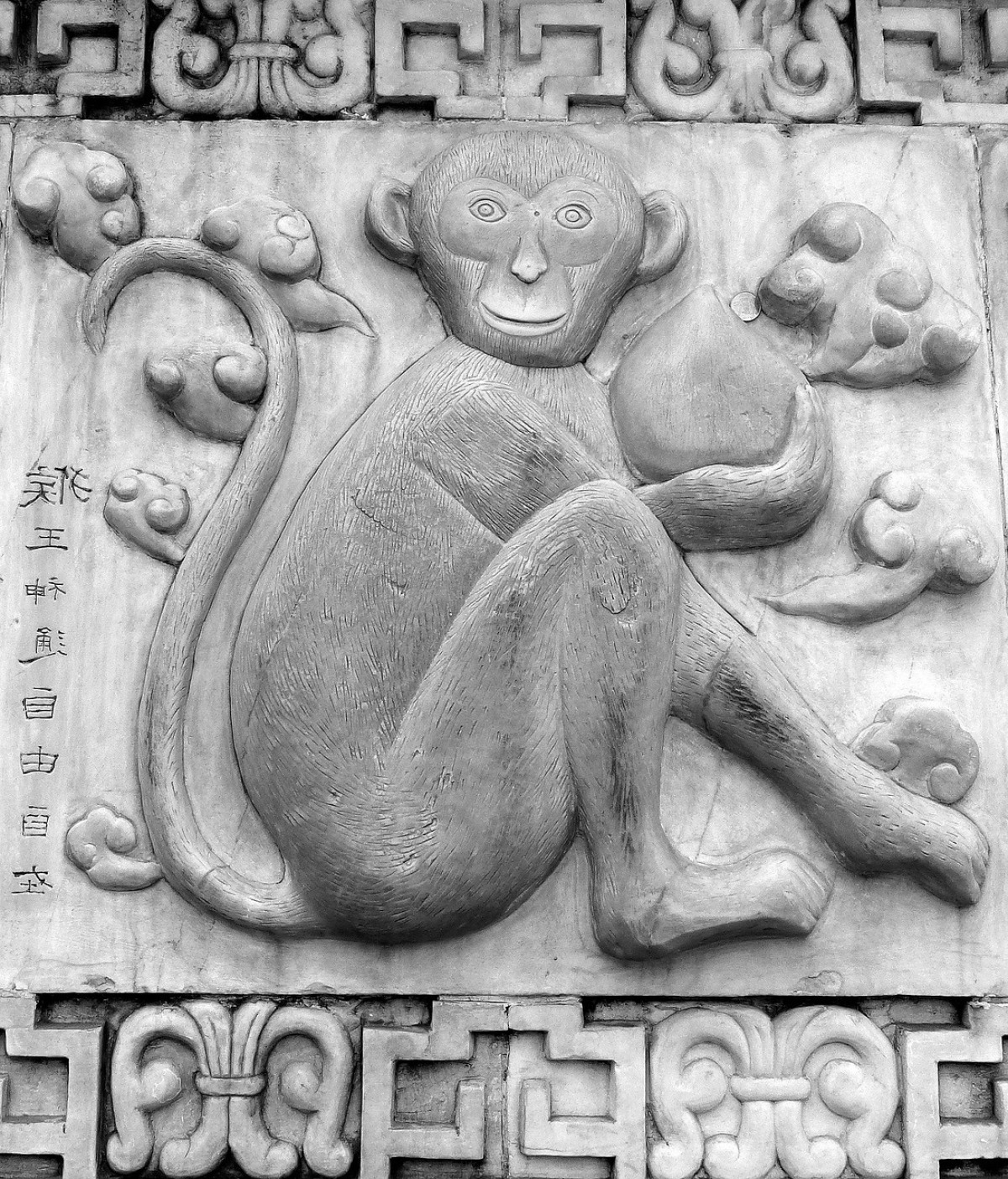 Horoscopo Chino: Compatibilidades del signo Mono