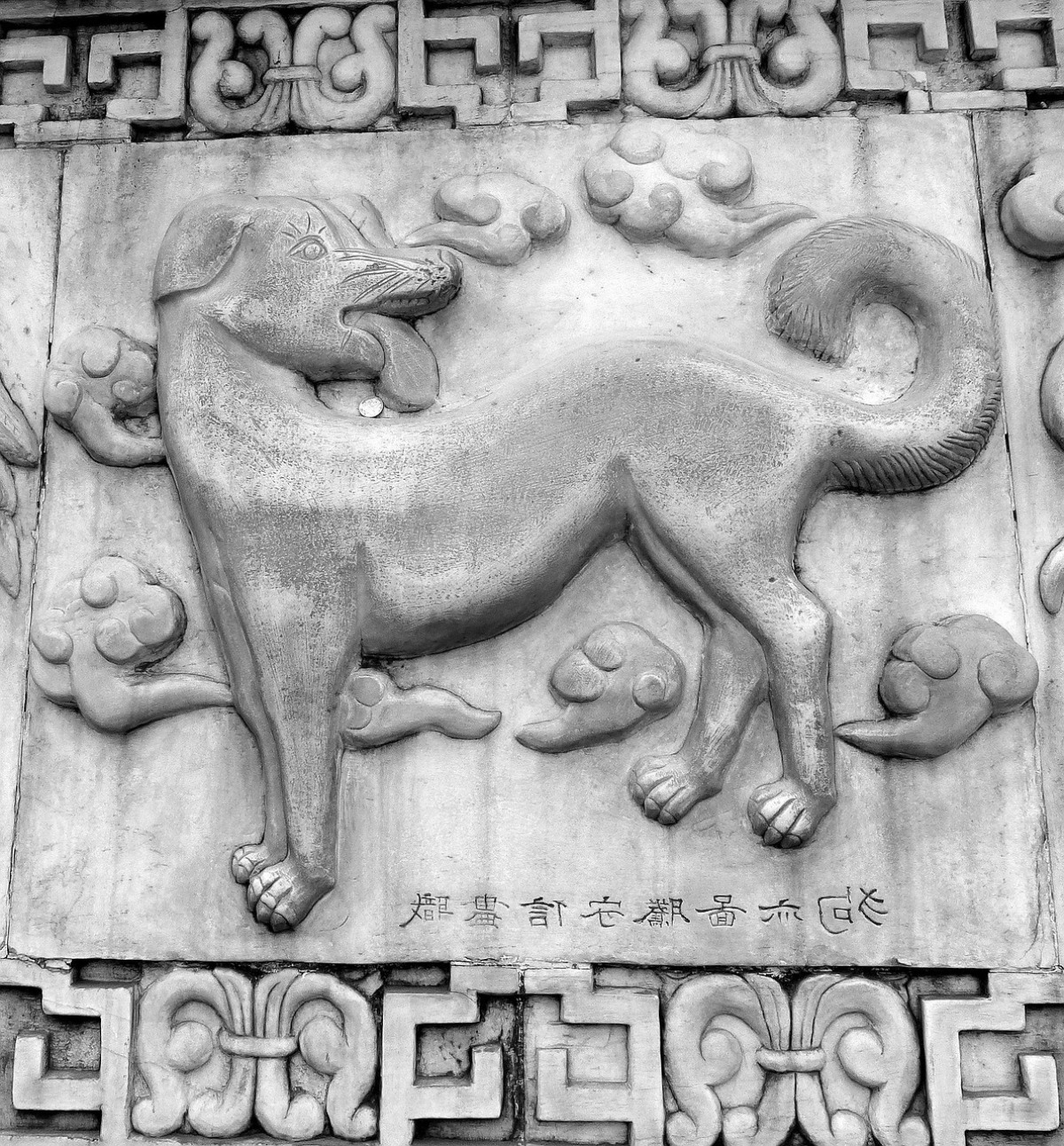 Horoscopo Chino: Características de Perro