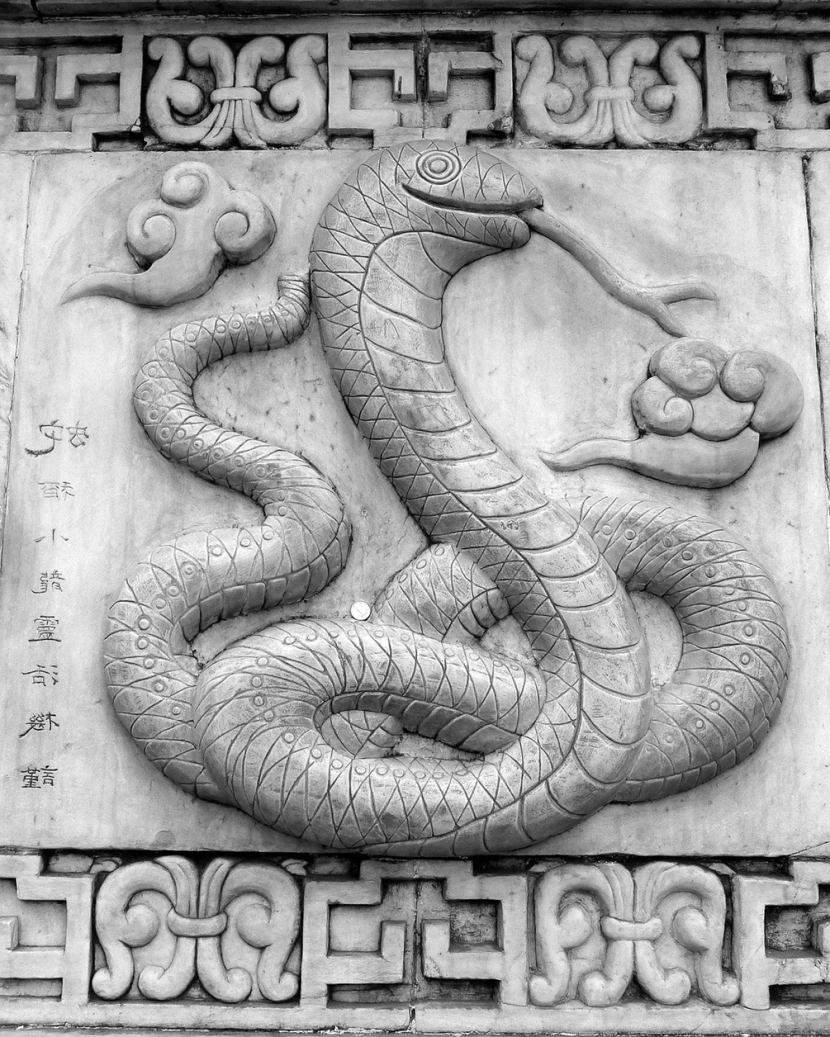 Horóscopo Chino de HOY para Serpiente
