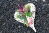 7 recordatorios para las mujeres cansadas de perseguir el amor de alguien