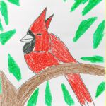 What does it mean to dream of cardinals?