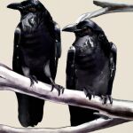 What does it mean to dream of crows?