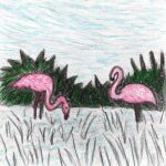 Hvad betyder det at drømme om flamingoer?