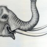 Co znamená snít o slonovině?