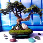 Hvad betyder det at drømme om en bonsai?