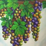 Wat betekent het om van druiven te dromen?