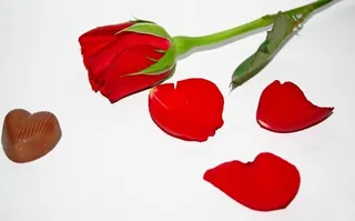 Imagen de la nota: Acuario en el amor: las mejores parejas y signos más compatibles