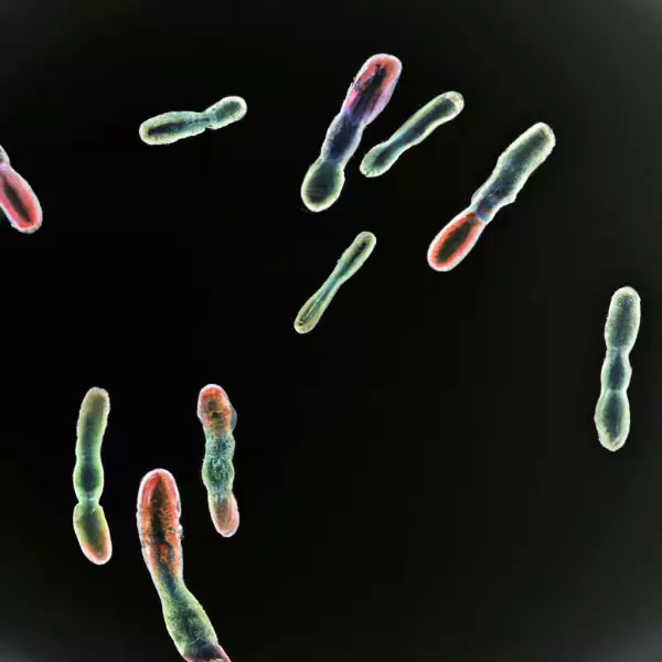 ¿Qué significa soñar con bacterias?