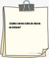 ¿Cuáles son los ciclos de vida de un sistema?