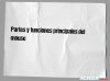 Partes y funciones principales del mouse