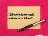 ¿Qué es el entorno o medio ambiente de un sistema?
