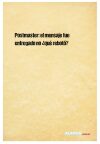 Postmaster: el mensaje fue entregado no ¿qué rebotó?