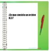 ¿En que consiste un archivo XLS?