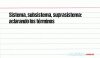 Sistema, subsistema, suprasistema: aclarando los términos