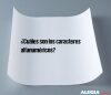 ¿Cuáles son los caracteres alfanuméricos?