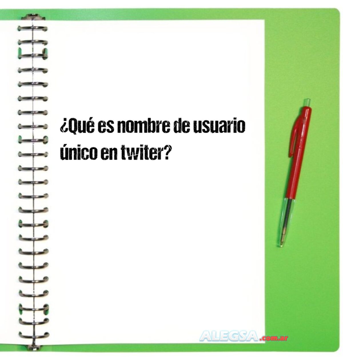 qu-es-nombre-de-usuario-nico-en-twiter