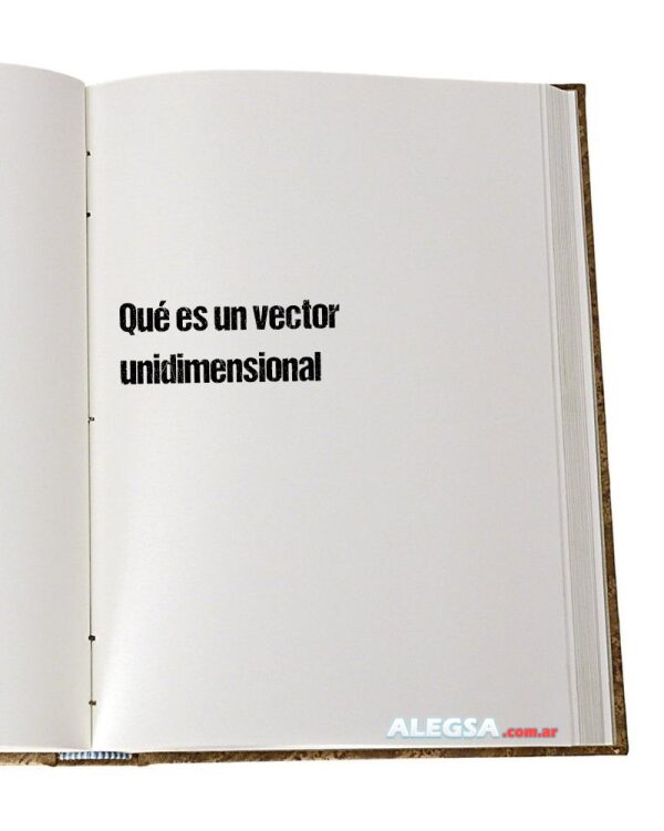 Qué es un vector unidimensional