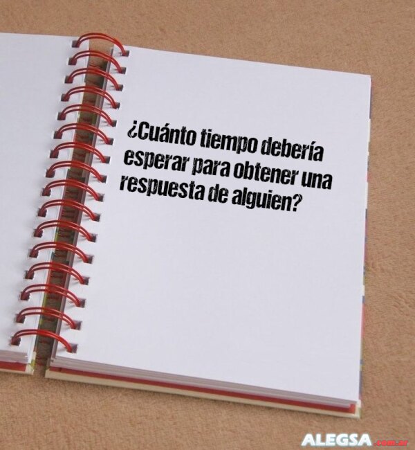 ¿Cuánto tiempo debería esperar para obtener una respuesta de alguien?