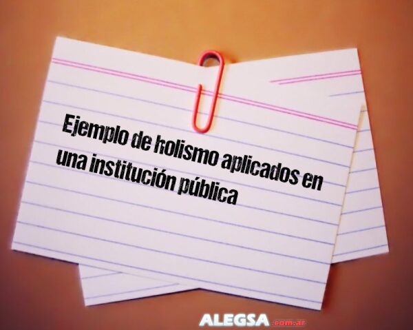 Ejemplo de holismo aplicados en una institución pública