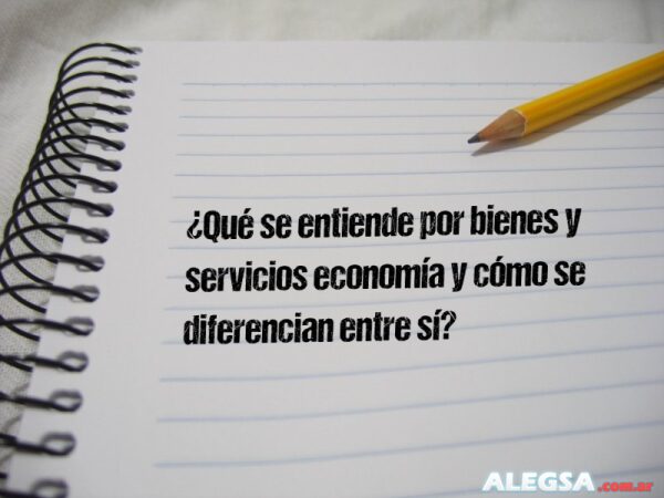¿Qué se entiende por bienes y servicios economía y cómo se diferencian entre sí?