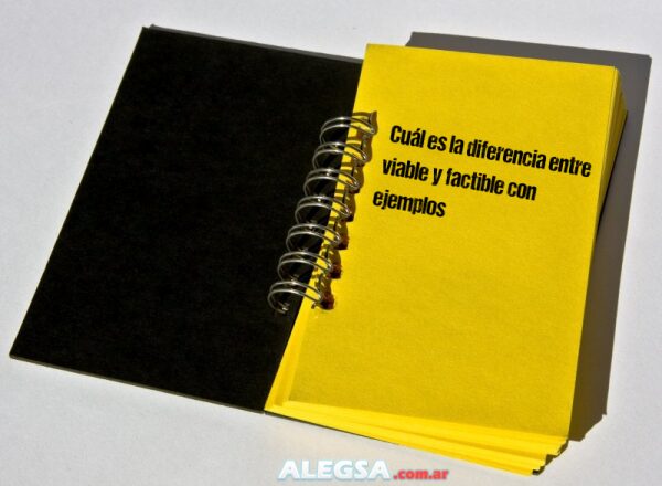 Cuál es la diferencia entre viable y factible con ejemplos