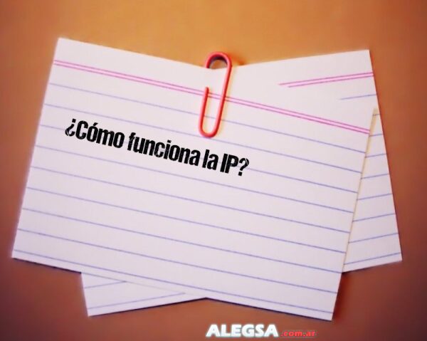 ¿Cómo funciona la IP?