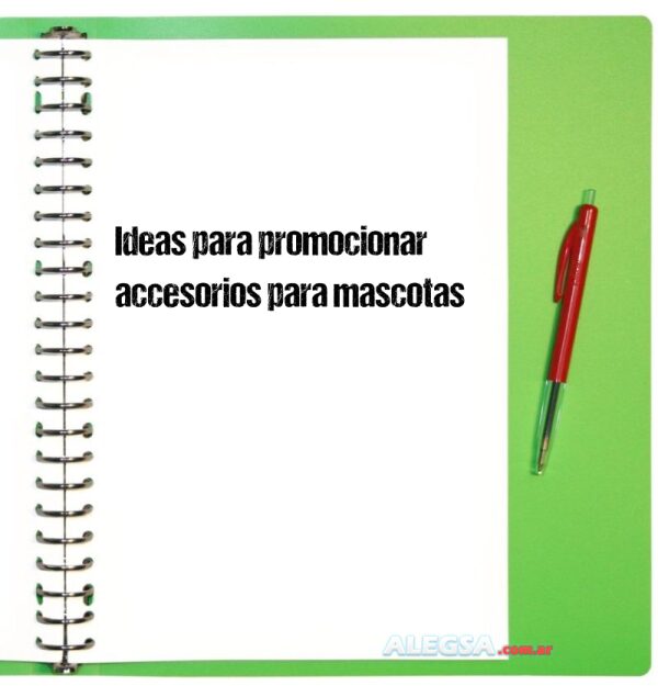 Ideas para promocionar accesorios para mascotas