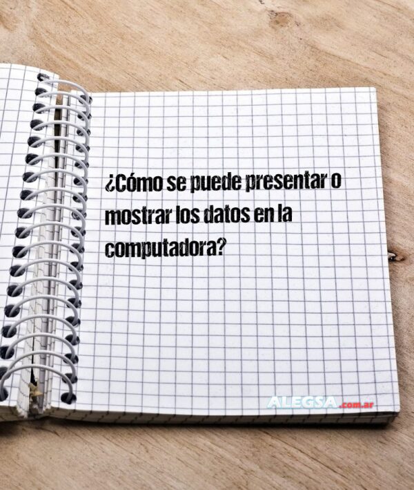 ¿Cómo se puede presentar o mostrar los datos en la computadora?