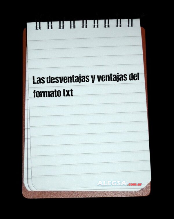 Las desventajas y ventajas del formato txt