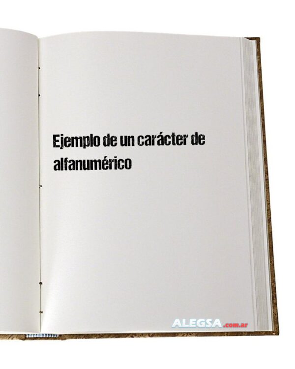Ejemplo de un carácter de alfanumérico