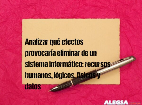 Analizar qué efectos provocaría eliminar de un sistema informático: recursos humanos, lógicos, físicos y datos