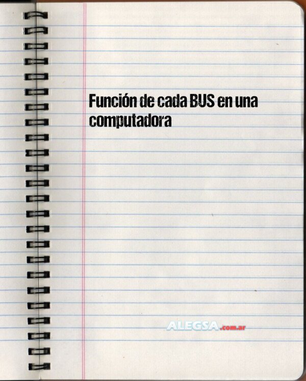 Función de cada BUS en una computadora