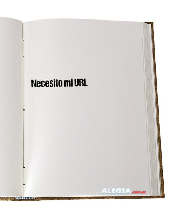 Necesito mi URL