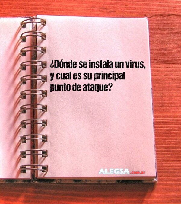 ¿Dónde se instala un virus, y cual es su principal punto de ataque?