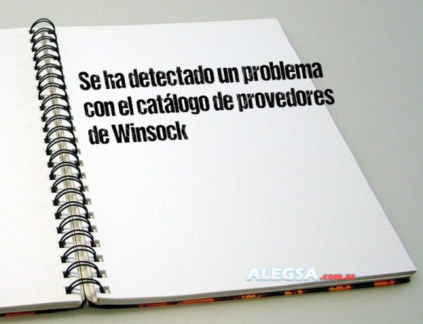 Se ha detectado un problema con el catálogo de provedores de Winsock