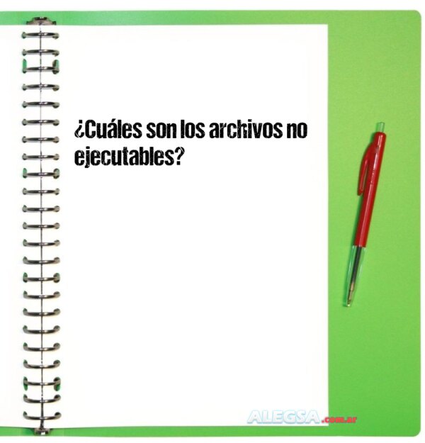 ¿Cuáles son los archivos no ejecutables?