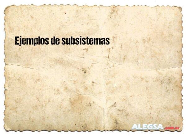 Ejemplos de subsistemas