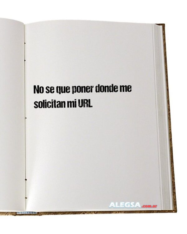 No se que poner donde me solicitan mi URL