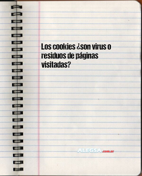 Los cookies ¿son virus o residuos de páginas visitadas?