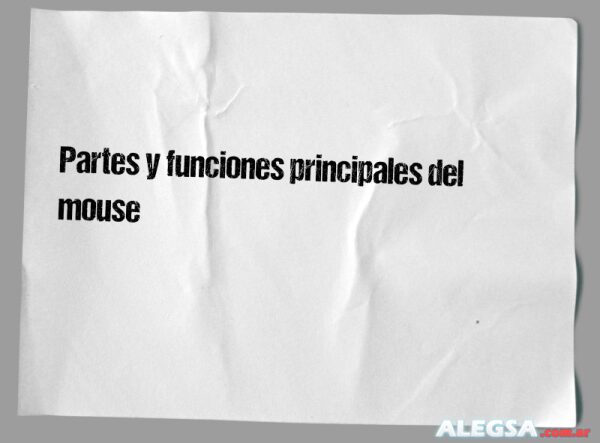 Partes y funciones principales del mouse