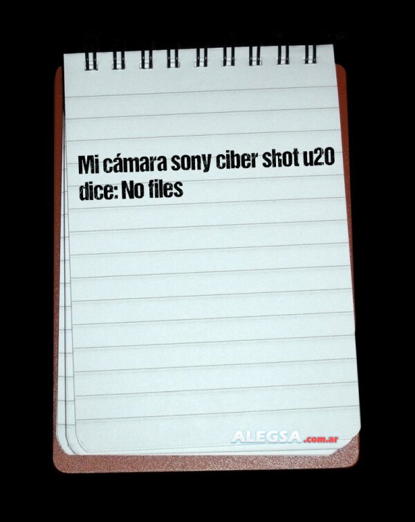 Mi cámara sony ciber shot u20 dice: No files