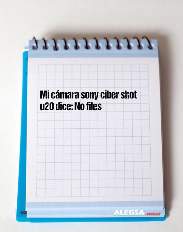 Mi cámara sony ciber shot u20 dice: No files